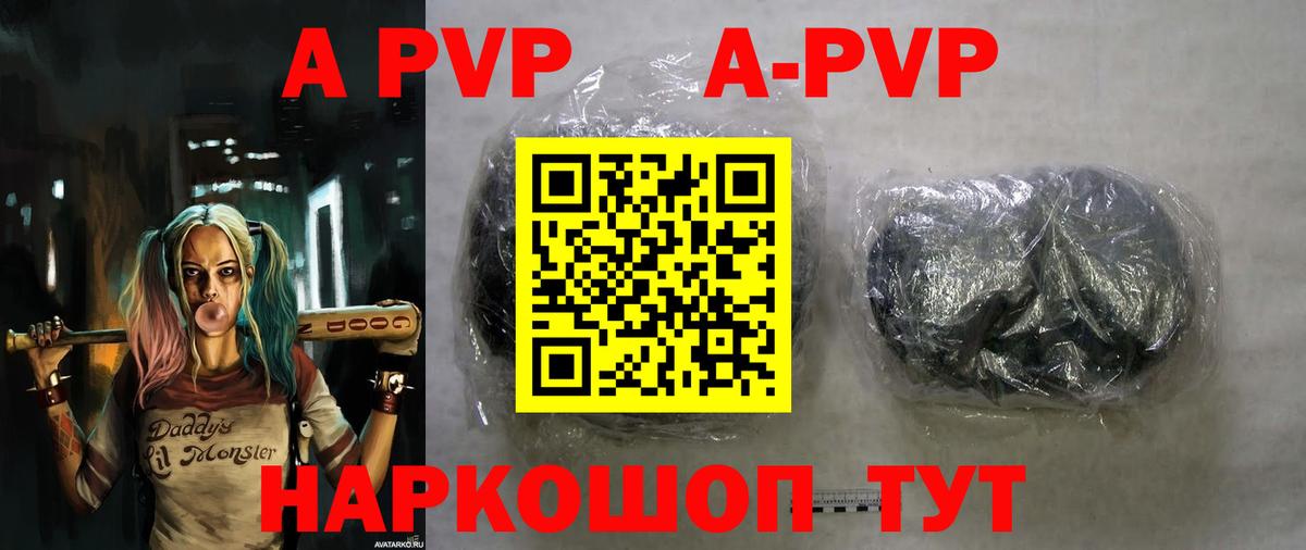 A PVP СК КРИС Губкинский