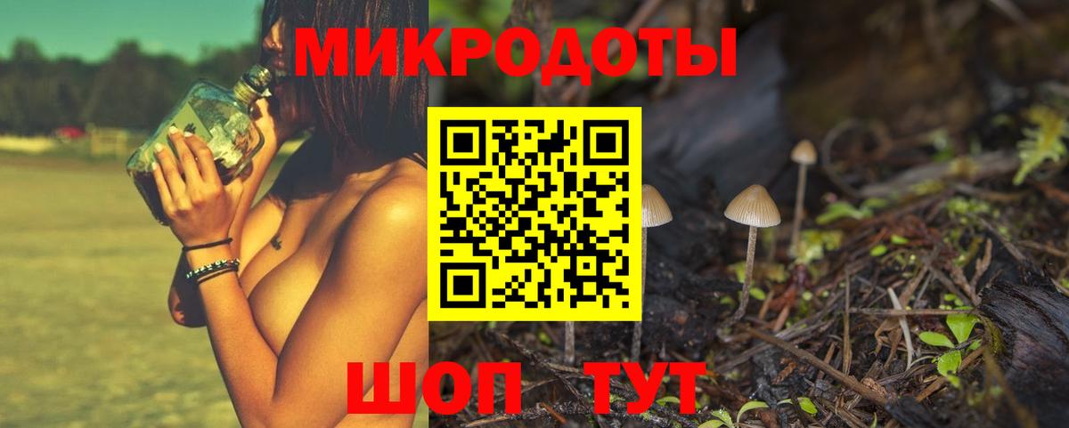Псилоцибиновые грибы мухоморы  Галлюциногенные грибы мицелий  наркошоп  Губкинский  Вход с VPN 